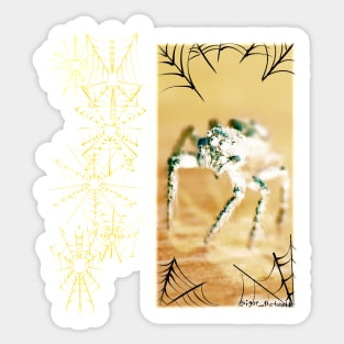 Yellow Jumping Spider (With Webs) Sticker